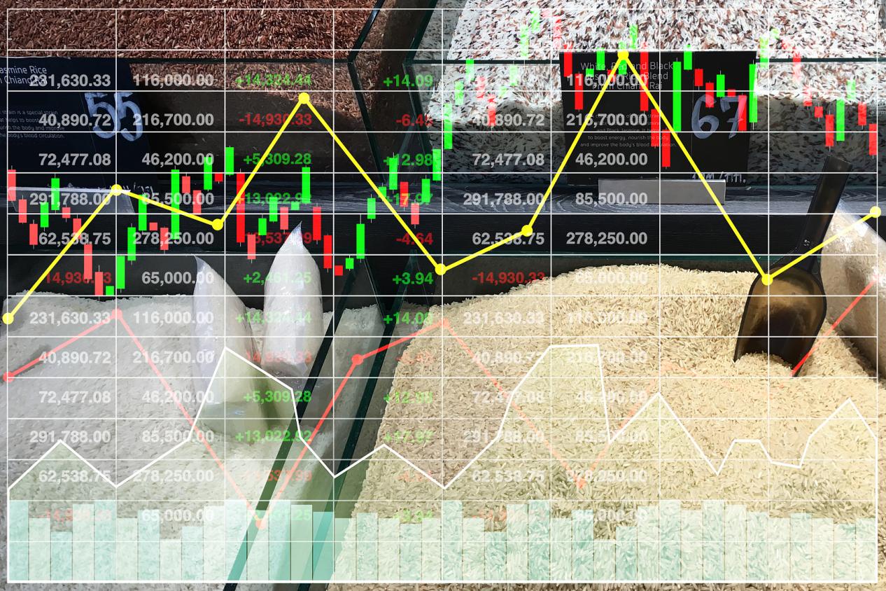 以行为金融为锚，构建反脆弱交易系统