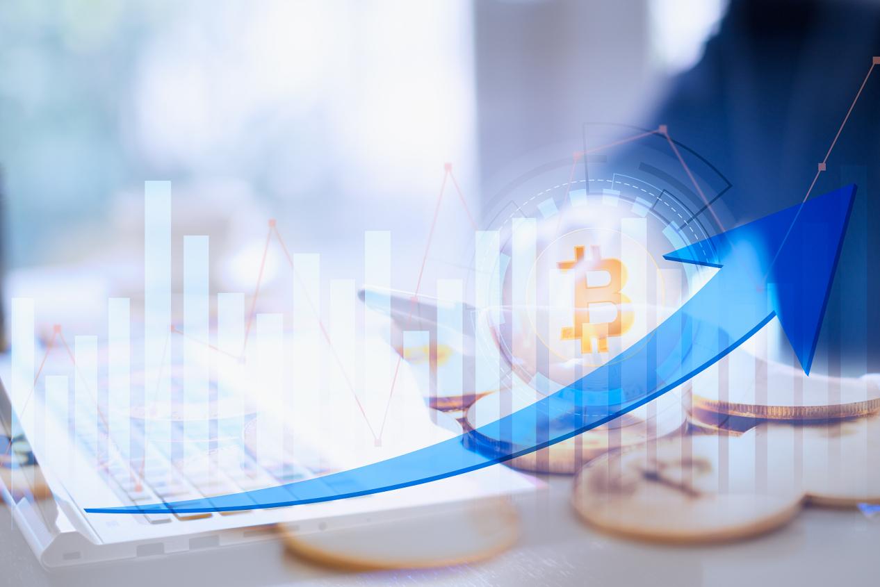 Wmax行为金融：为什么你总在“确定性幻觉”中做出错误决策？