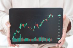 理性认知差价合约交易：Wmax平台的风险管理与投资者保护实践