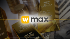 系好安全带：止损止盈机制的深度博弈