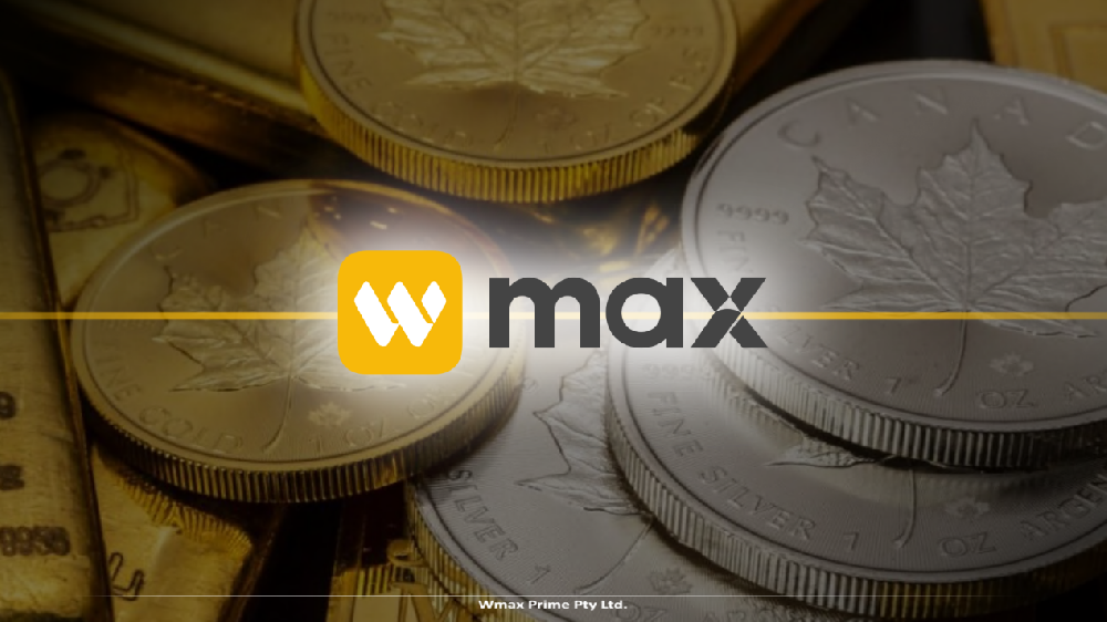告别盲目跟单:在WMAX平台学会风控,做清醒的投资者