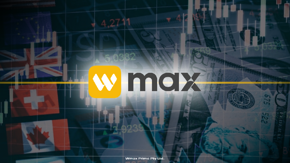 逆向思维的艺术:WMAX教你如何在市场恐慌中挖掘“冷门高手”