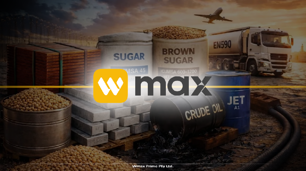 筑牢认知地基,WMAX的教育、风控与跟单如何守护交易之路